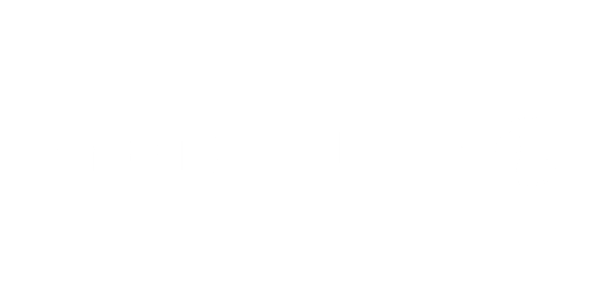 Metzeler logosu